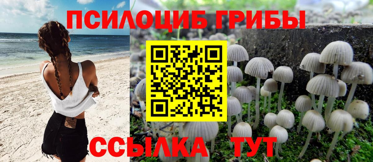 Удомля  Псилоцибиновые грибы мицелий  Вход с VPN 